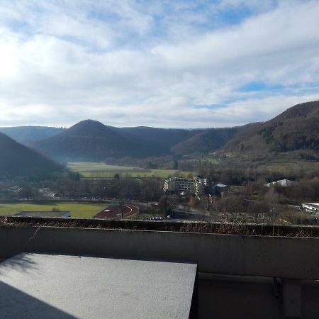Free Apartment - Schoenblick Bad Urach Kültér fotó